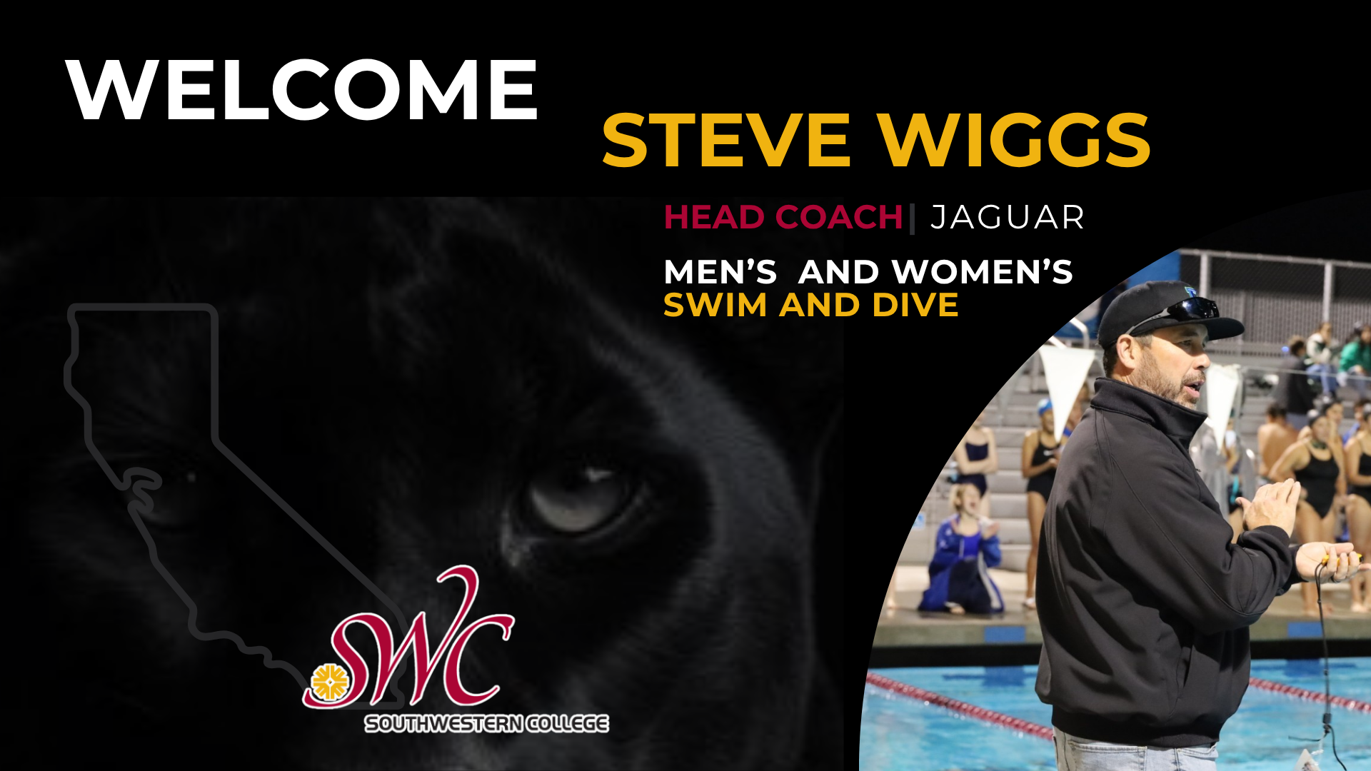 Southwestern Announces Steve Wiggs Elevated to Head Swimming &amp; Diving Coach