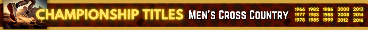 Championship Banner