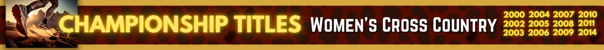 Championship Banner