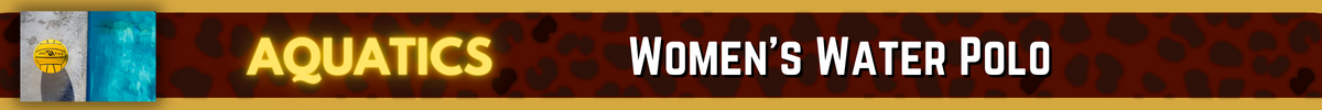 Championship Banner