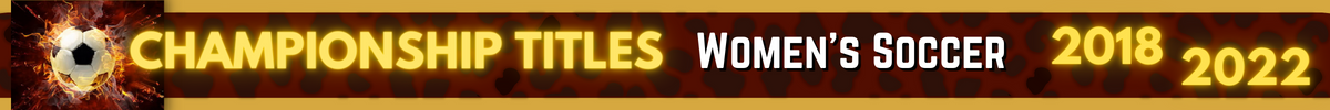 Championship Banner