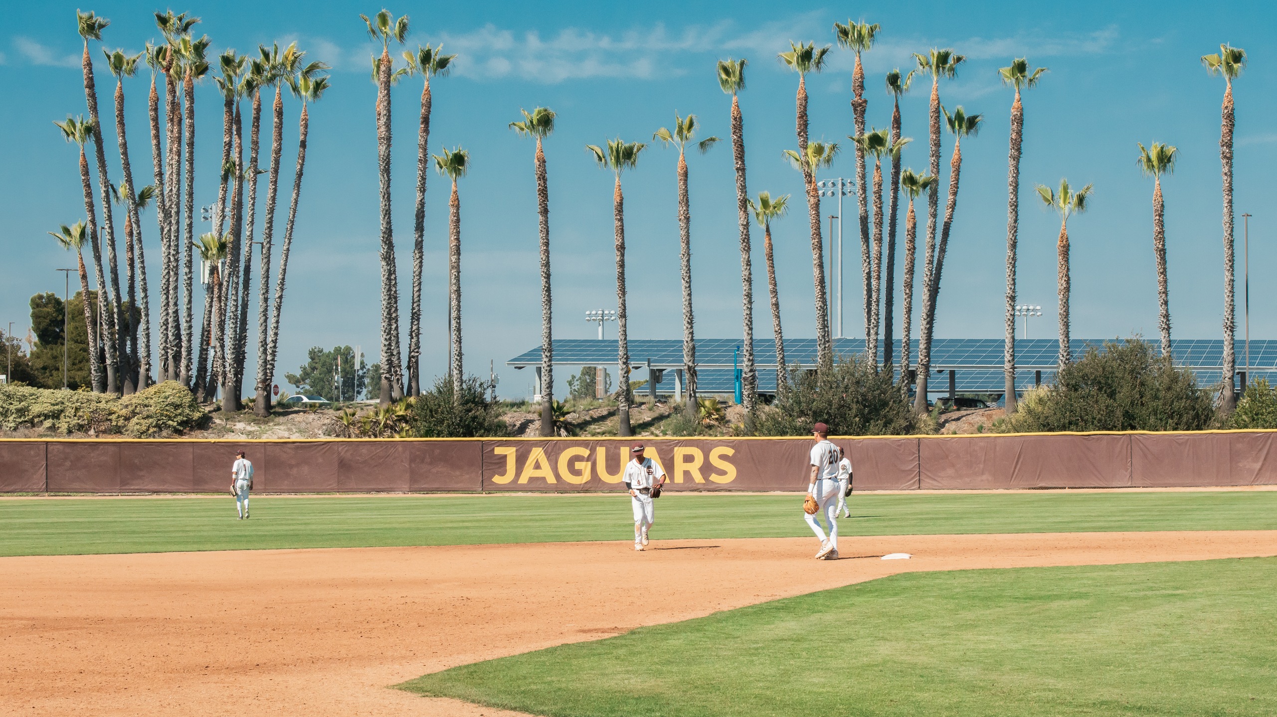 2026 Baseball Season Preview