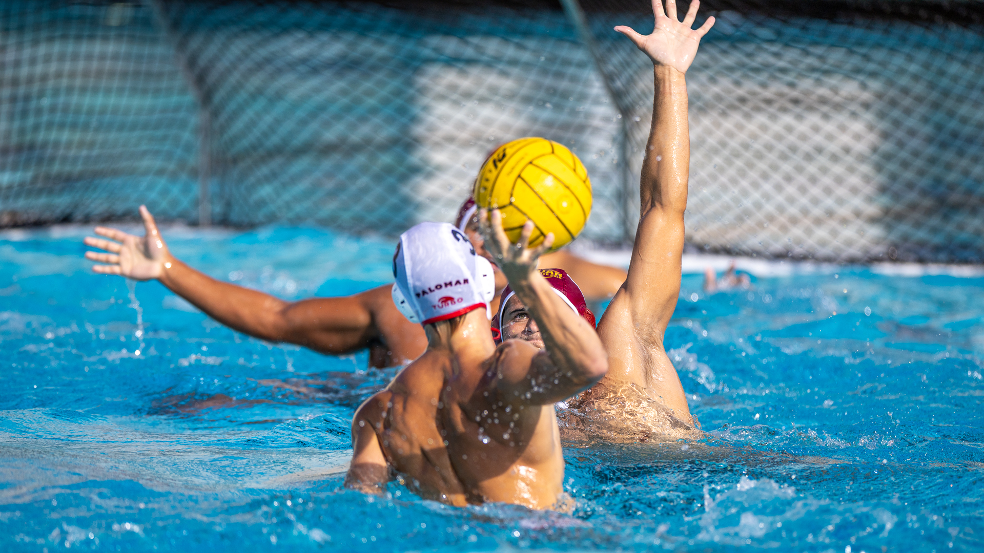 Vs Palomar
