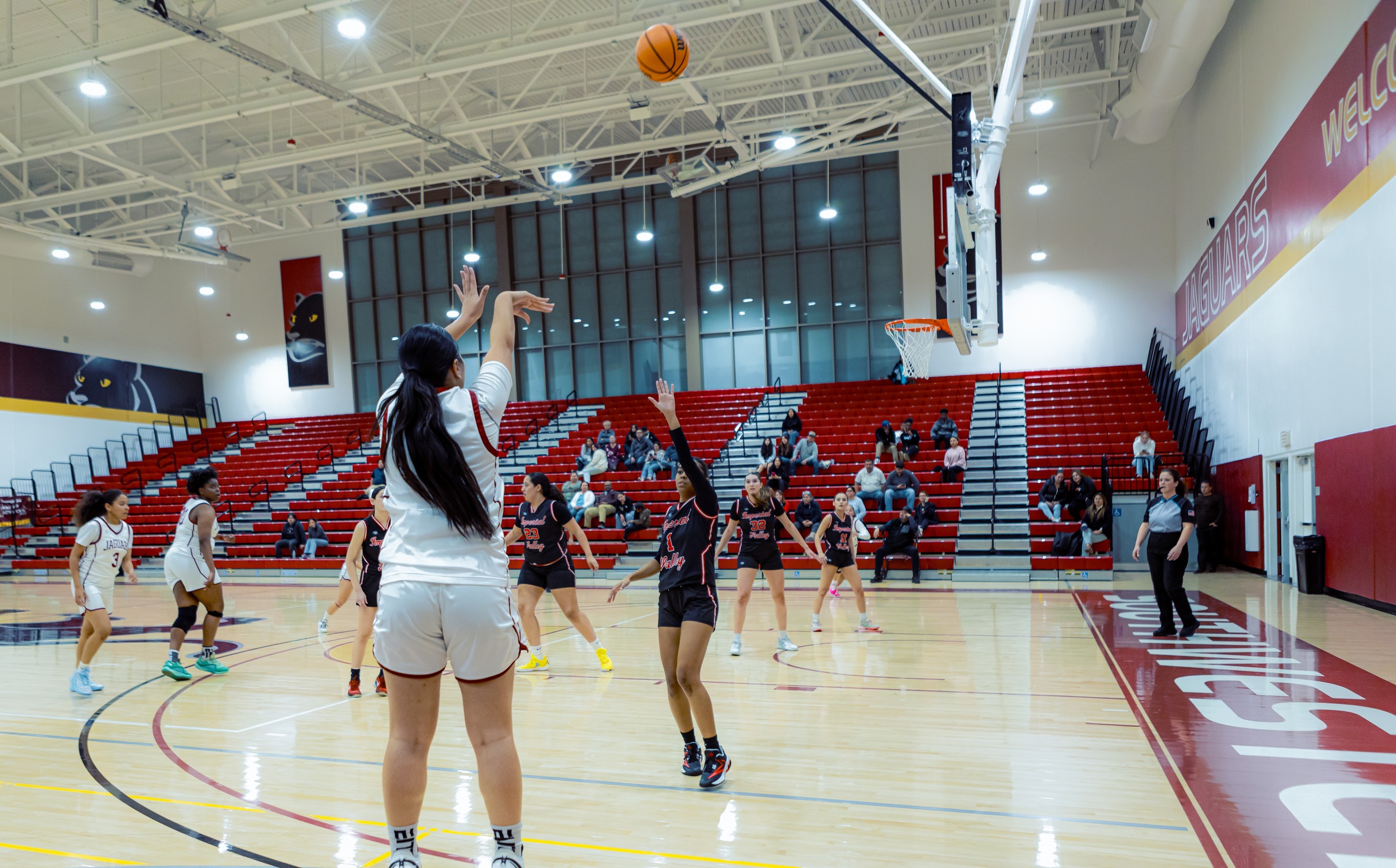 Jags Weekly Basketball Round Up (Feb. 3 &ndash; Feb. 7)