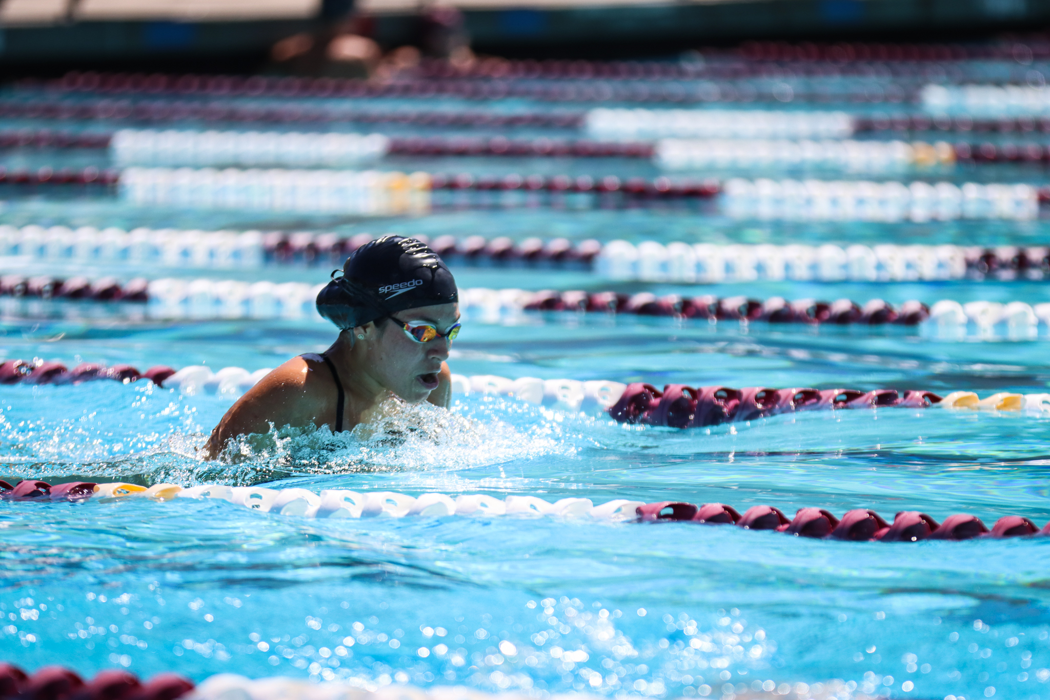 PCAC Swim Championship